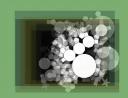 alleseed74-6test9.jpg