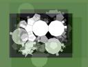 mixseed27_levelmax36-494p.jpg